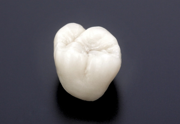 ジルコニアスタンダード